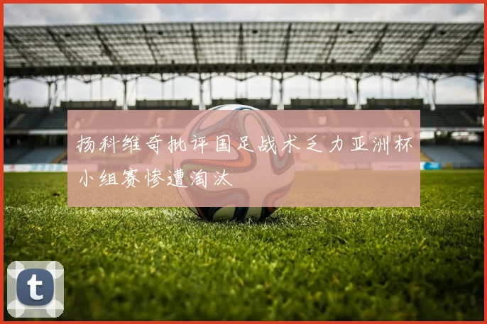 扬科维奇批评国足战术乏力亚洲杯小组赛惨遭淘汰